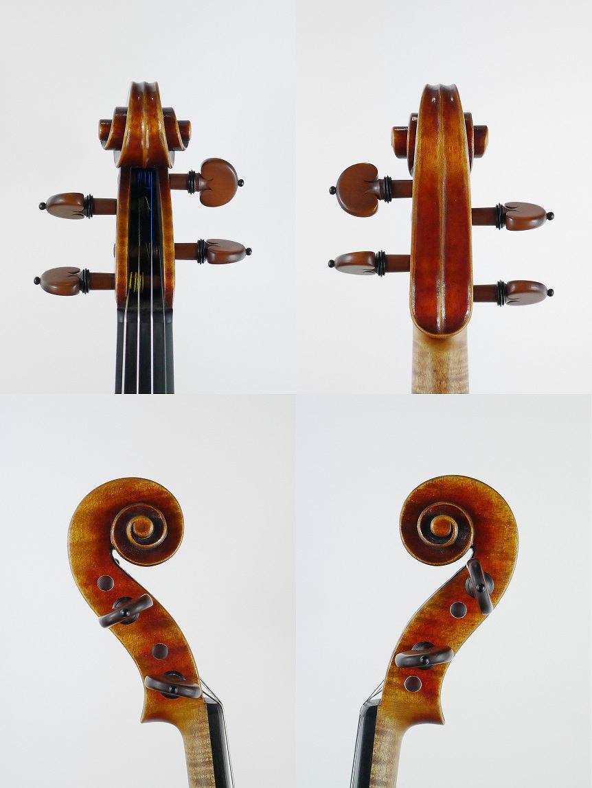 violin scroll